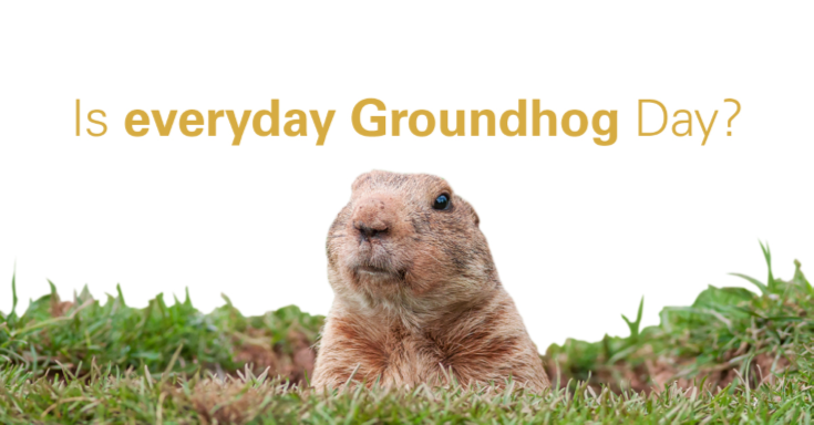 ground hog sticking head out of the ground