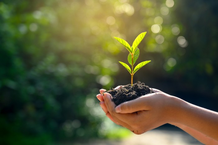 Go Green and Save Green. - Horicon Bank